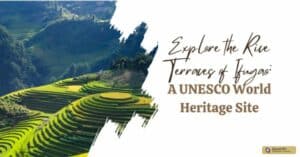 Explore the Rice Terraces of Ifugao: A UNESCO World Heritage Site