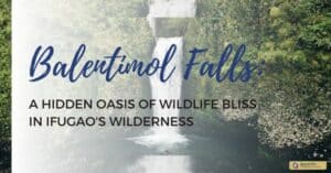 Balentimol Falls A Hidden Oasis of Wildlife Bliss in Ifugao's Wilderness