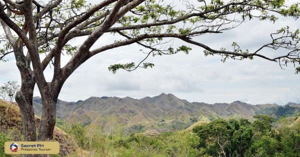 Biodiversity and Conservation Efforts in Apayao2