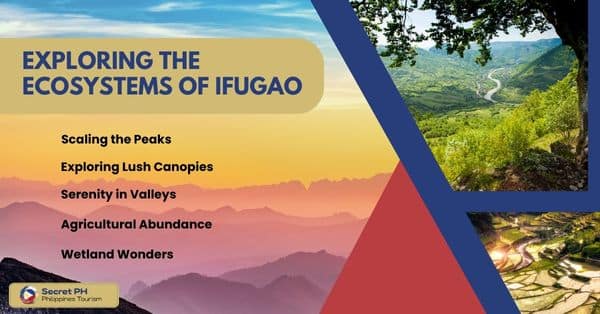 Exploring the Ecosystems of Ifugao