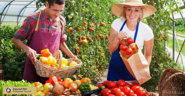 Farmers' Markets and Community Supported Agriculture (CSA)