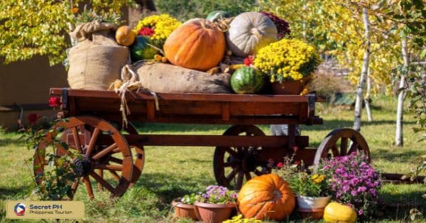 Fruit and Vegetable Harvest Festival