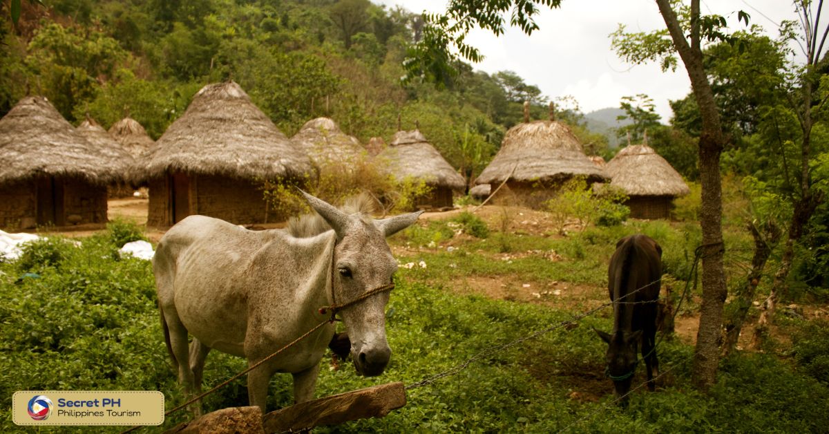 Indigenous Village Loop Trail