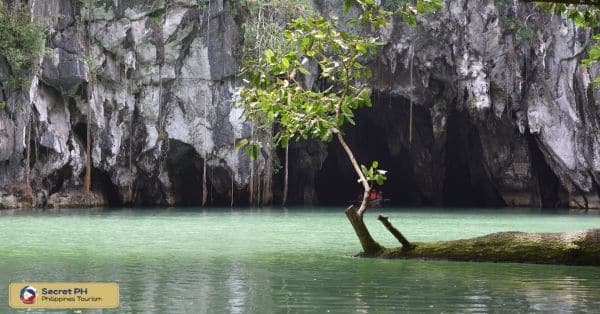 The Majestic Manacota Cave & Underground River