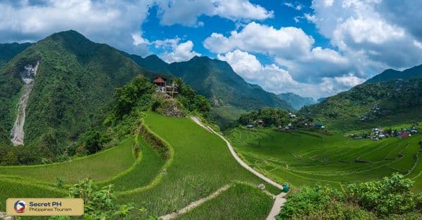 The Mayoyao Rice Terraces