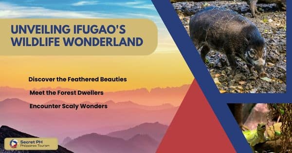 Unveiling Ifugao's Wildlife Wonderland
