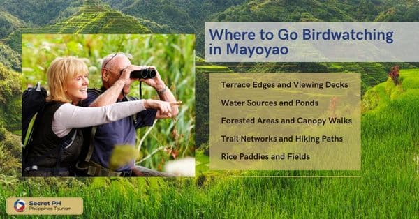 Where to Go Birdwatching in Mayoyao