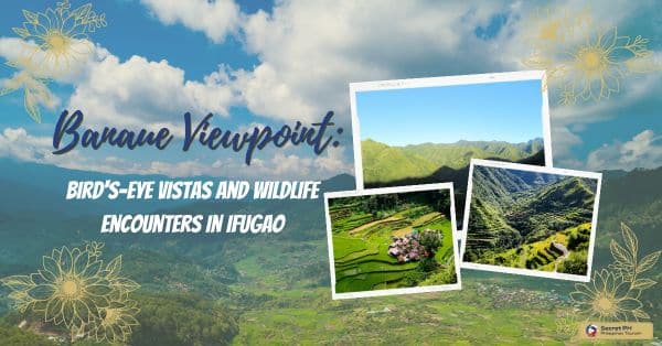 Banaue Viewpoint: Bird's-Eye Vistas and Wildlife Encounters in Ifugao