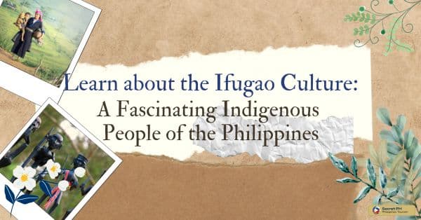 Learn about the Ifugao Culture: A Fascinating Indigenous People of the Philippines