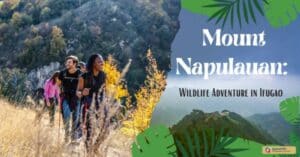 Mount Napulauan Wildlife Adventure in Ifugao