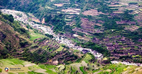 The Rice Terraces: A Masterpiece of Human Engineering