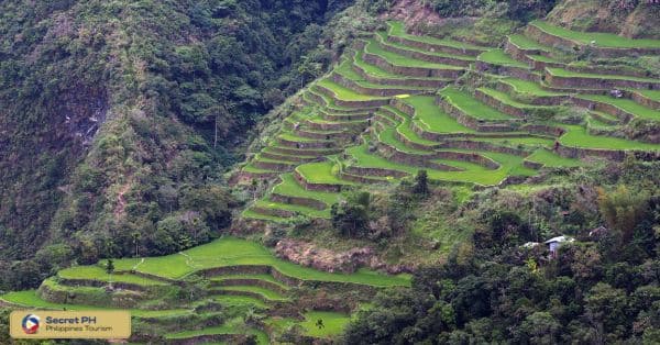 1. Visit the Tinglayan Rice Terraces