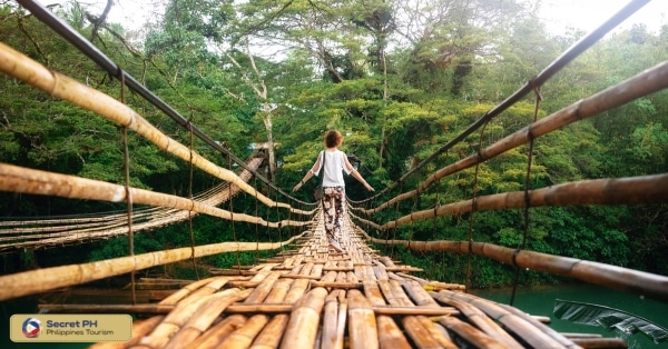 Bamboo Bridges: A Lifeline in the Rugged Terrain