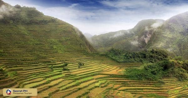 Cambulo Rice Terraces: A Natural Masterpiece