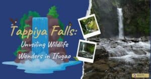 Tappiya Falls: Unveiling Wildlife Wonders in Ifugao