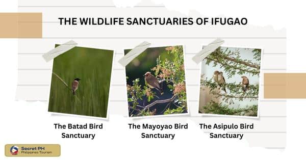 The Wildlife Sanctuaries of Ifugao