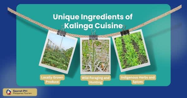 Unique Ingredients of Kalinga Cuisine