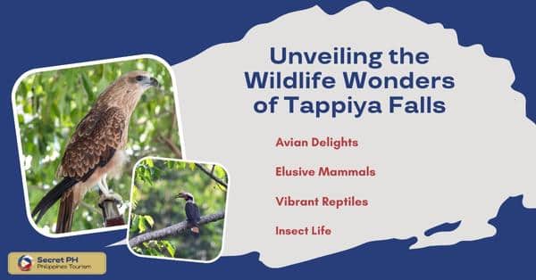 Unveiling the Wildlife Wonders of Tappiya Falls