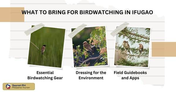 What to Bring for Birdwatching in Ifugao