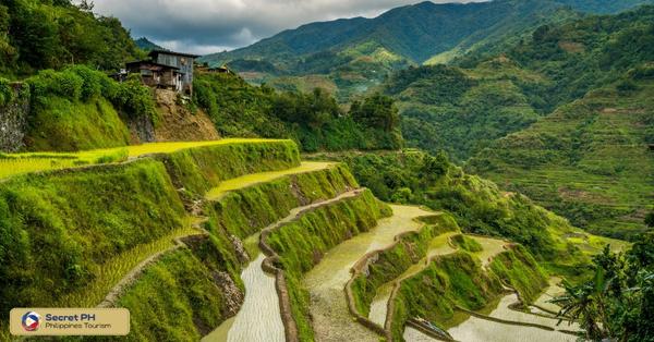 1. Tinglayan Rice Terraces