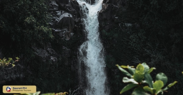 2. Pongas Falls