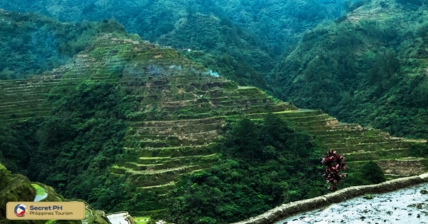 2. Rice Terraces, throughout Mountain Province