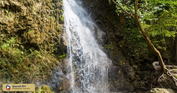 Flora and Fauna Surrounding the Falls