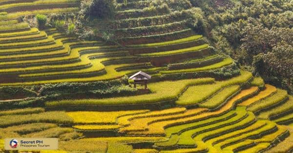 Tinglayan Rice Terraces: A Photographer's Paradise