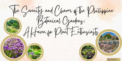 The Serenity and Charm of the Philippine Botanical Gardens: A Haven for Plant Enthusiasts