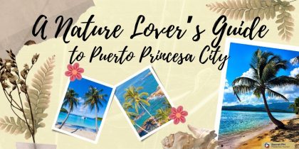 A Nature Lover’s Guide to Puerto Princesa City