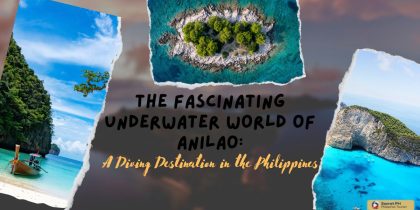 The Fascinating Underwater World of Anilao: A Diving Destination in the Philippines