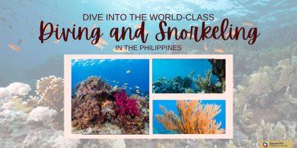 Dive into the World-Class Diving and Snorkeling in the Philippines