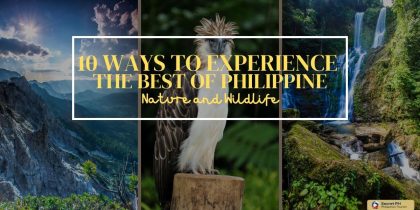 10 Ways to Experience the Best of Philippine Nature and Wildlife