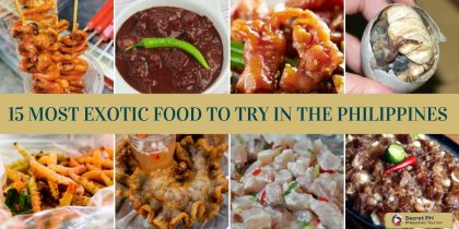 15 Most Exotic Food To Try in the Philippines