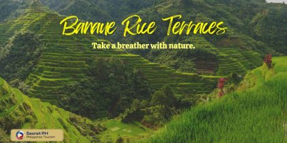 The Banaue Rice Terraces in Ifugao